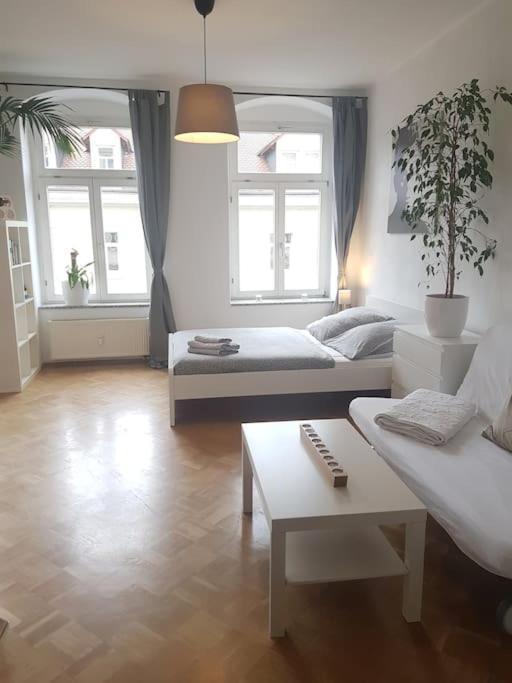 Studio In Dresden Neustadt Louisenstrasse Exteriér fotografie